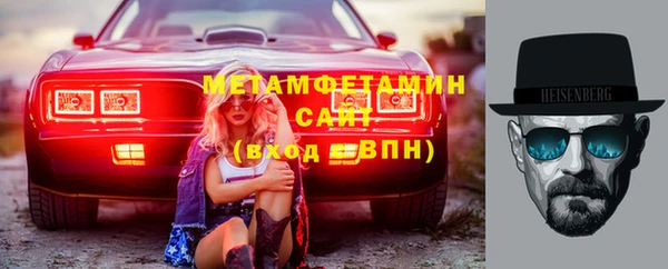 индика Медвежьегорск