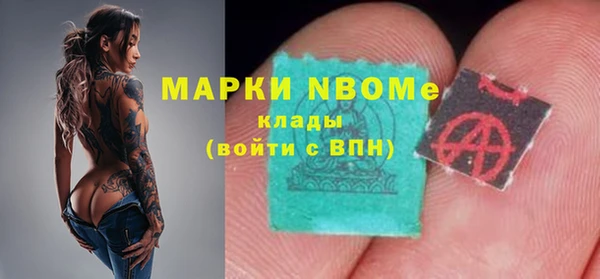 индика Медвежьегорск