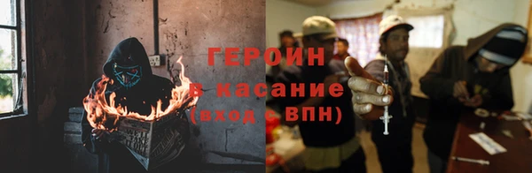 индика Медвежьегорск