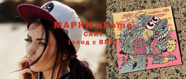 хмурый Мегион