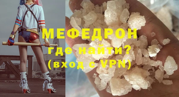 индика Медвежьегорск