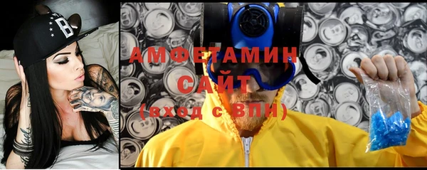 индика Медвежьегорск