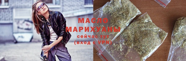 индика Медвежьегорск