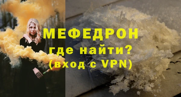 индика Медвежьегорск
