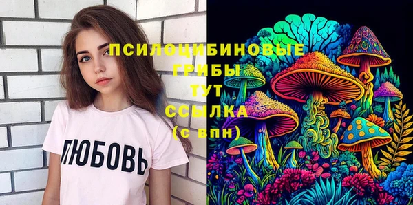 индика Медвежьегорск