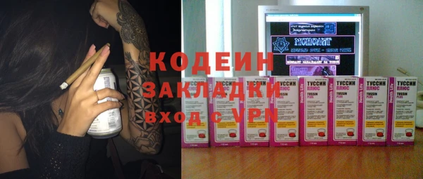 хмурый Мегион