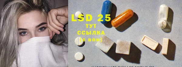 индика Медвежьегорск