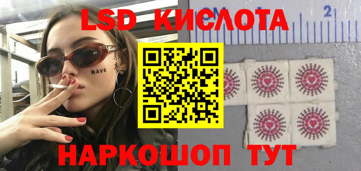 Псилоцибиновые грибы Карталы