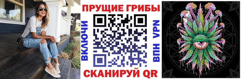 купить наркоту  Карталы  Псилоцибиновые грибы MAGIC MUSHROOMS 