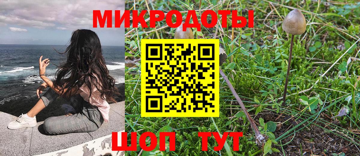 Галлюциногенные грибы мицелий Карталы