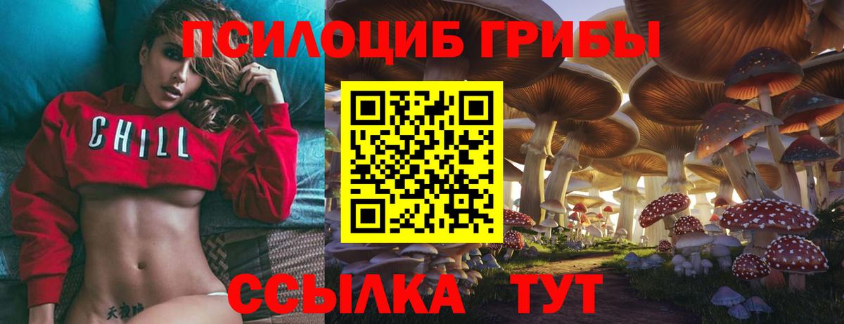 дарнет шоп  Вход с VPN  Карталы  Псилоцибиновые грибы MAGIC MUSHROOMS 